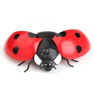 Animals RC Toys