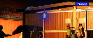 ZapLite Solar 2-in-1 Insect Killer